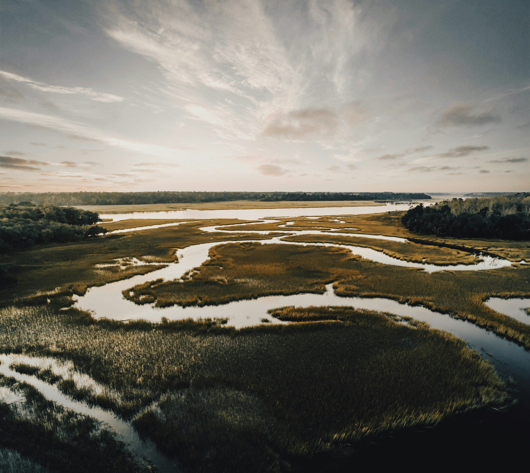 Salt marsh and tidal water on the Big Bend coast